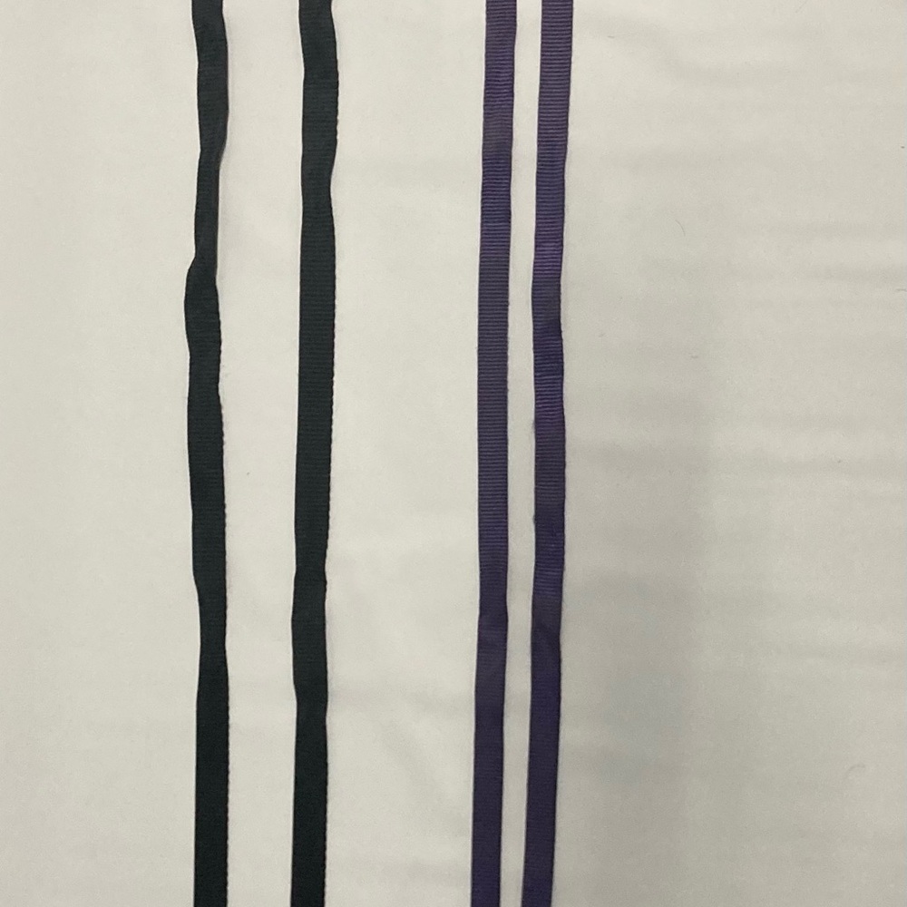 Top Paw Purple Nylon Dog Leash